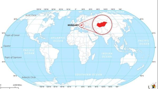 Little Scammer From Hungary