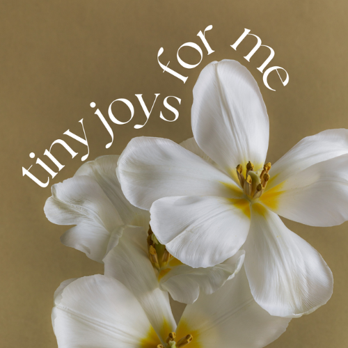 Tiny Joys For Me