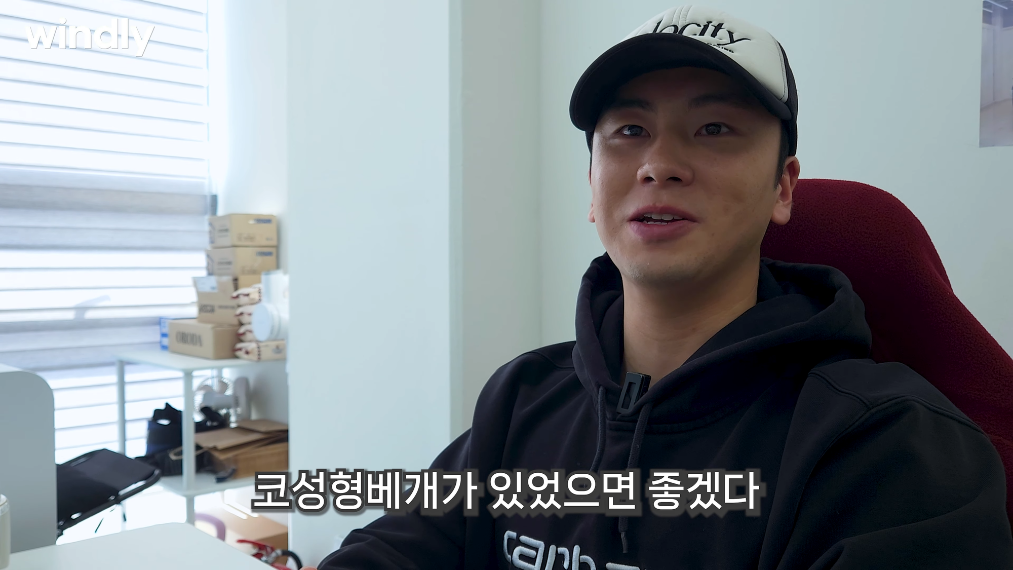 온라인 쇼핑몰 상품 소싱, 코성형베개