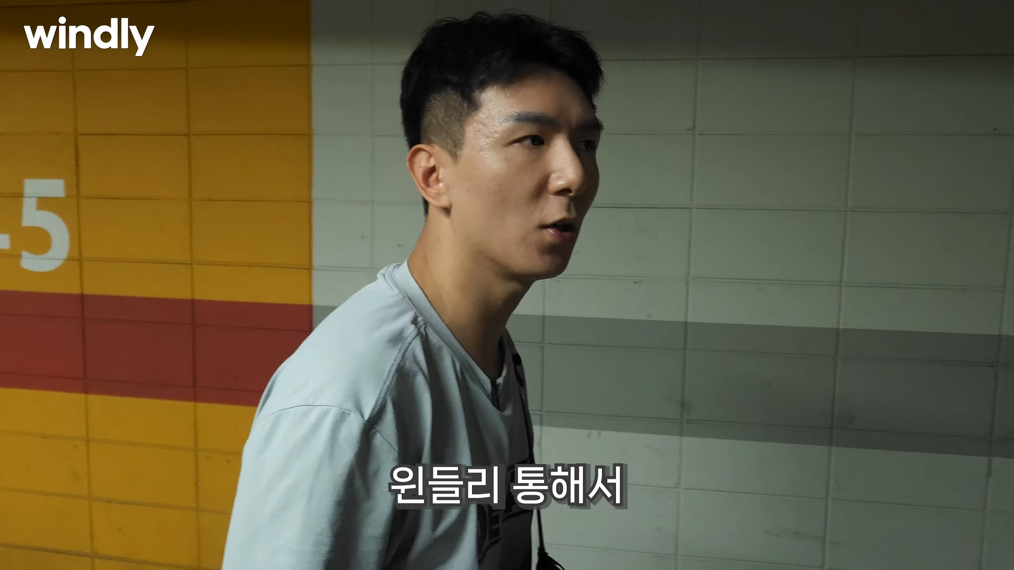 윈들리 사용 후기 1억맵 로켓그로스