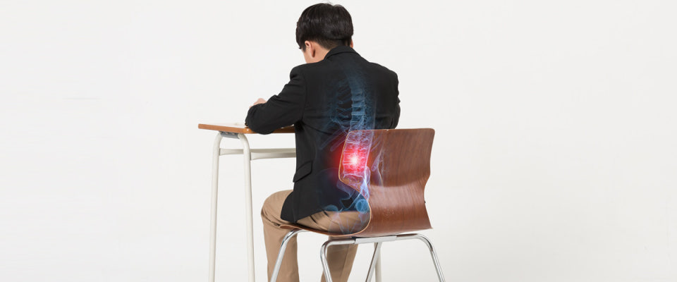 체형 교정용 기능성 방석 & 등받이