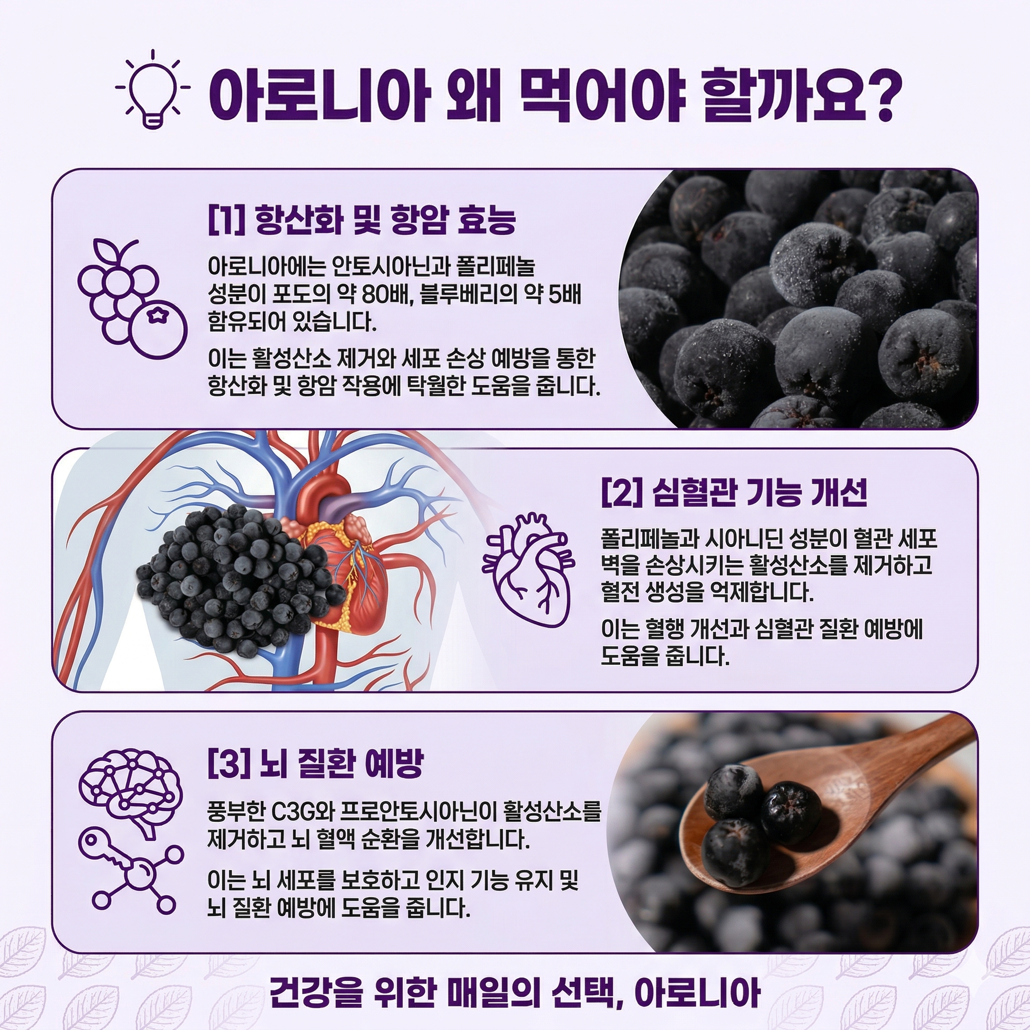 건강 기능성 과일 상세페에지 예시(AI 활용)