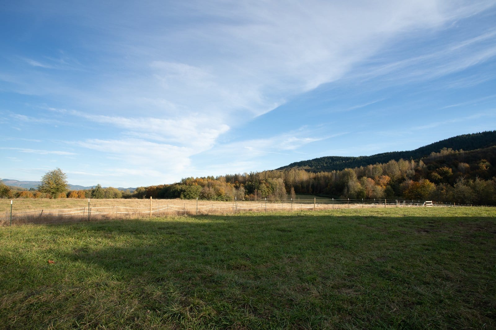 A field with a fence going through the middle