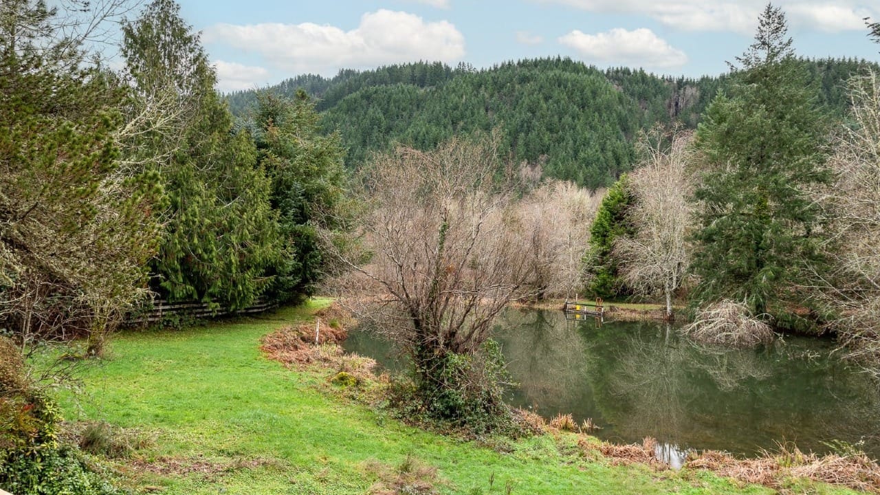 A bunch of trees next to a small pond