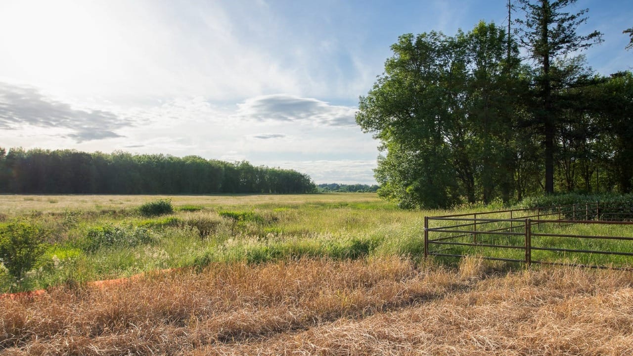 A field with a fence in it