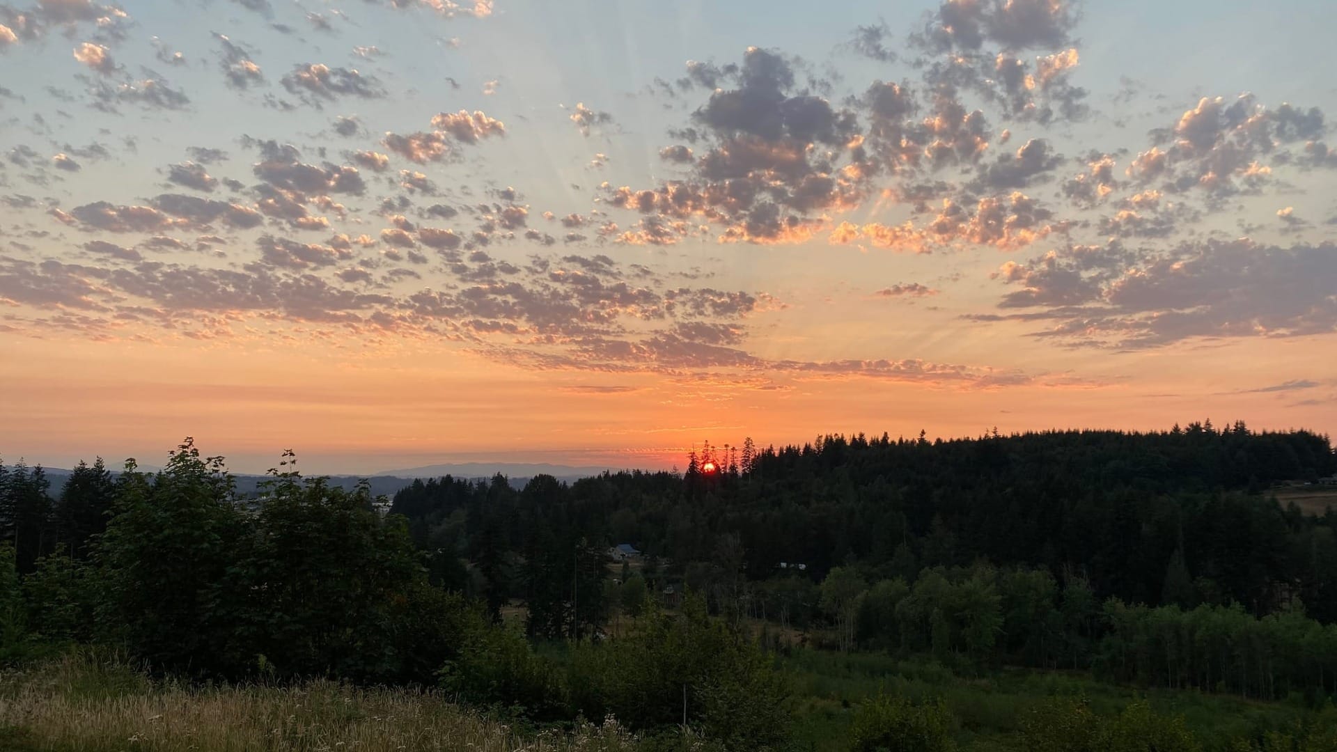 A view of a sunset from a trail