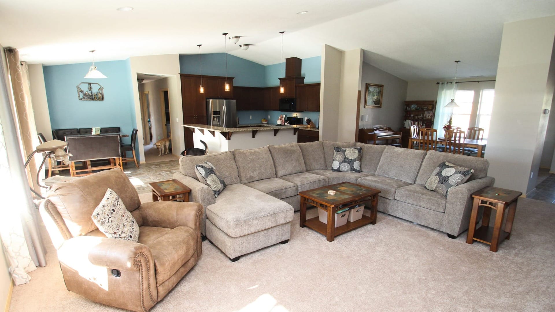 Josephine Craftsman Carpeting