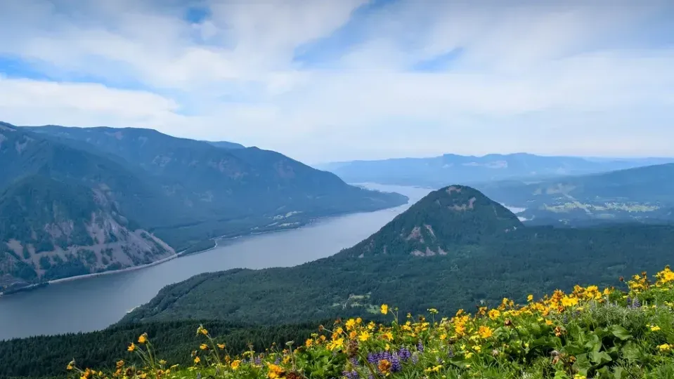 Expansive mountain landscape with forested hills, river valley, and wildflowers in the foreground under a bright sky.