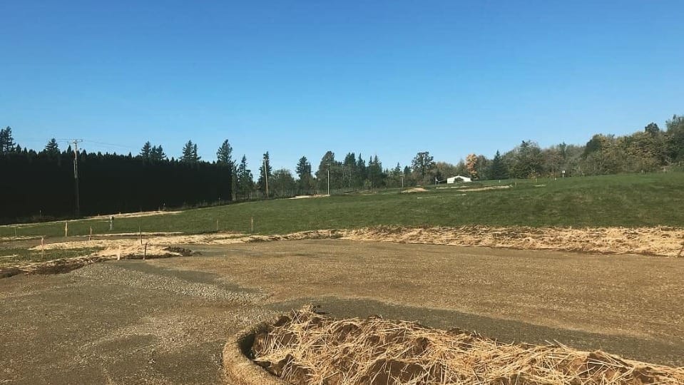 A plot of land ready to be built on