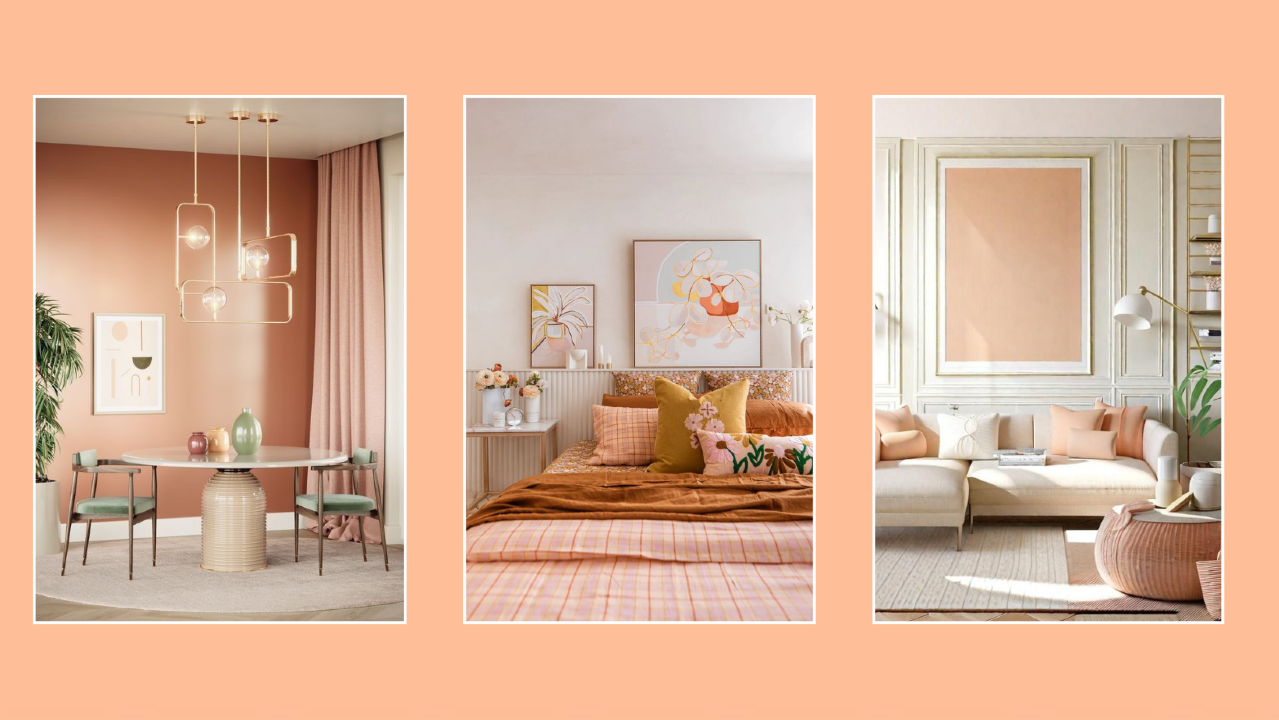 A bunch of different peach fuzz designs for your home