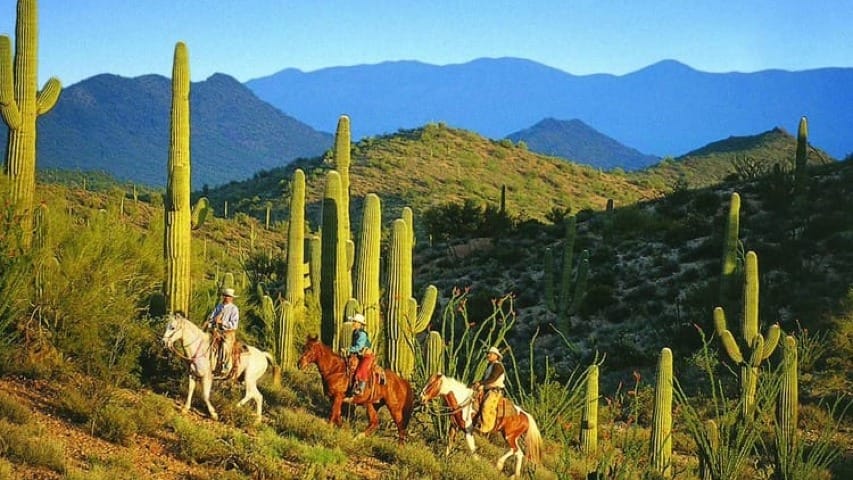 Three Cowboys riding horses through the desert with cactuses all around them