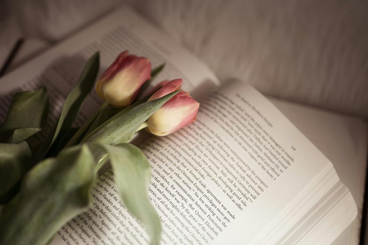 Best infosec-related long reads for the week of 3/21/26