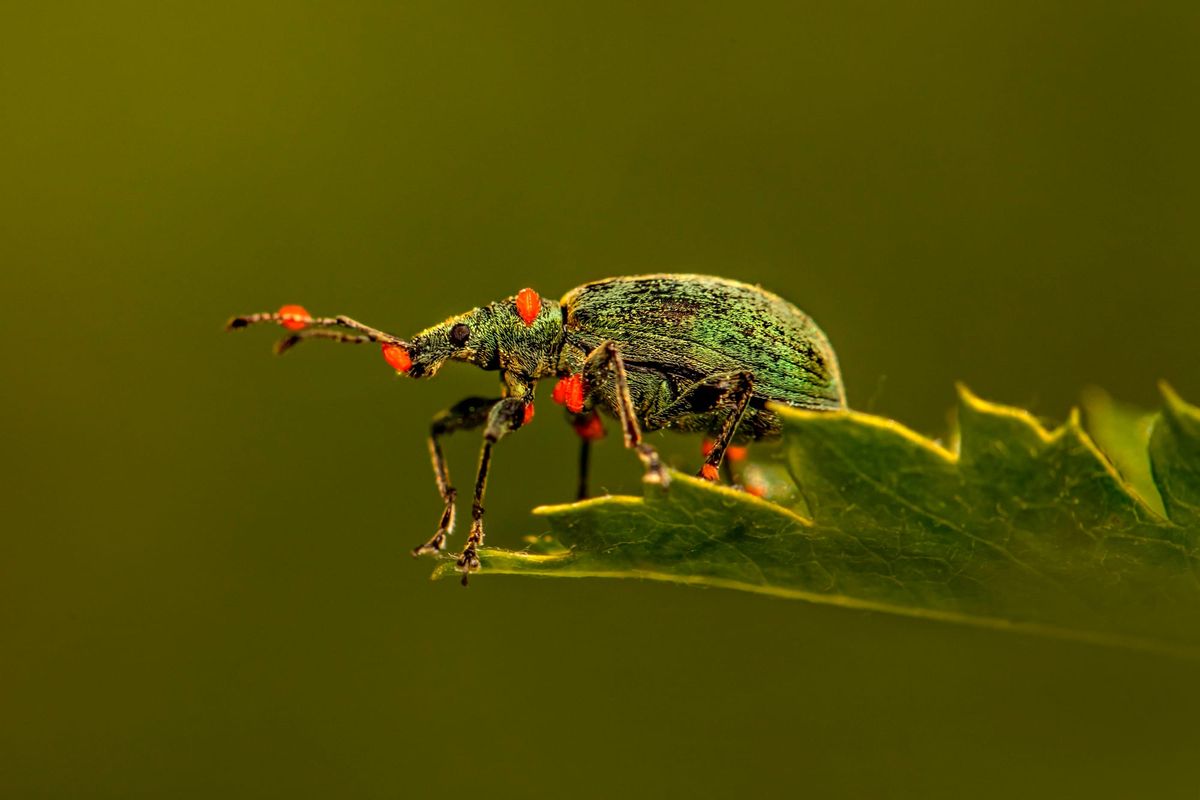 Leaders warn that AI bug hunting outpaces humanity’s ability to defend systems