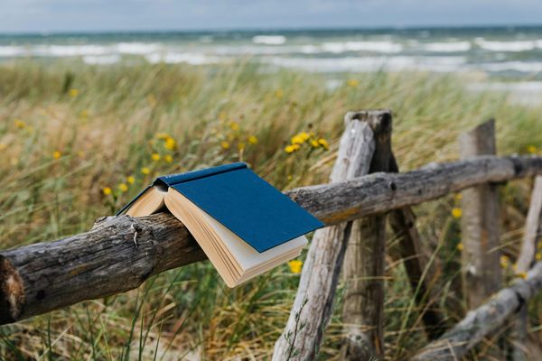 Best infosec-related long reads for the week of 7/26/25