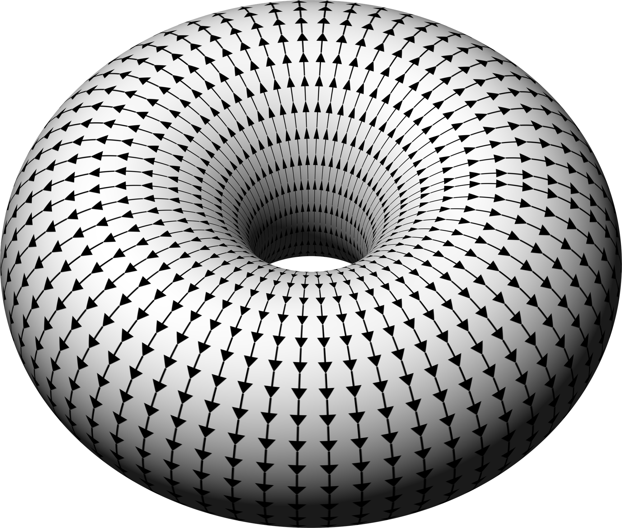 In appreciation of the doughnut