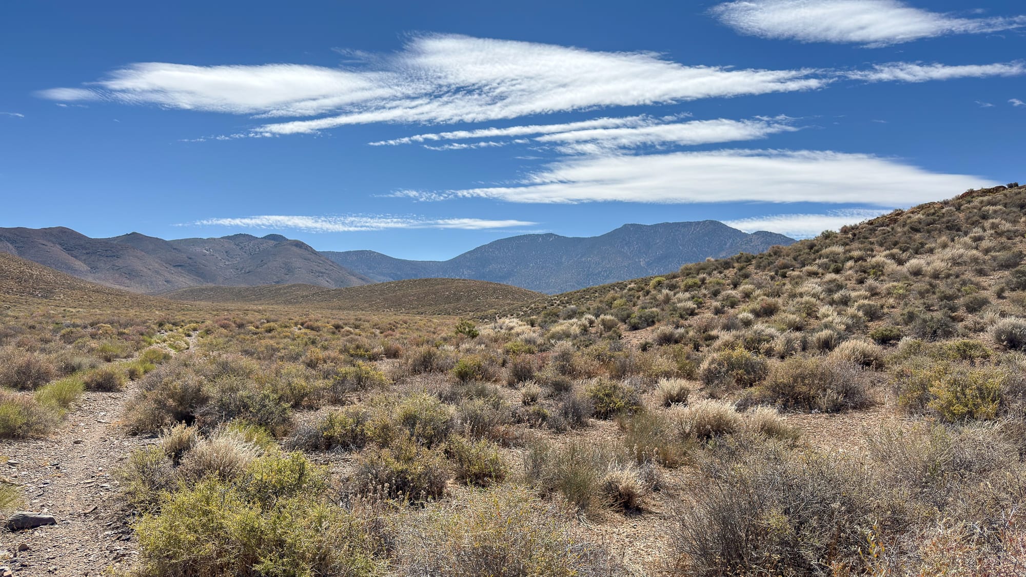 Looking up the old road (closed to vehicles) towards the mine site. The tall mountain towards the right is Bald Peak (7,764').