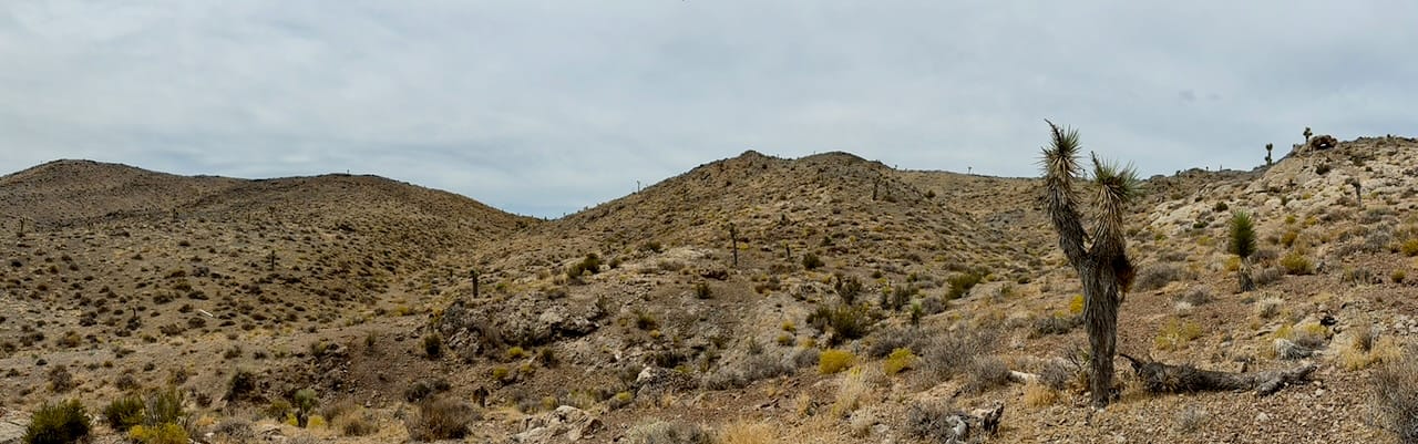 Looking northwest into the Cuprite Hills
