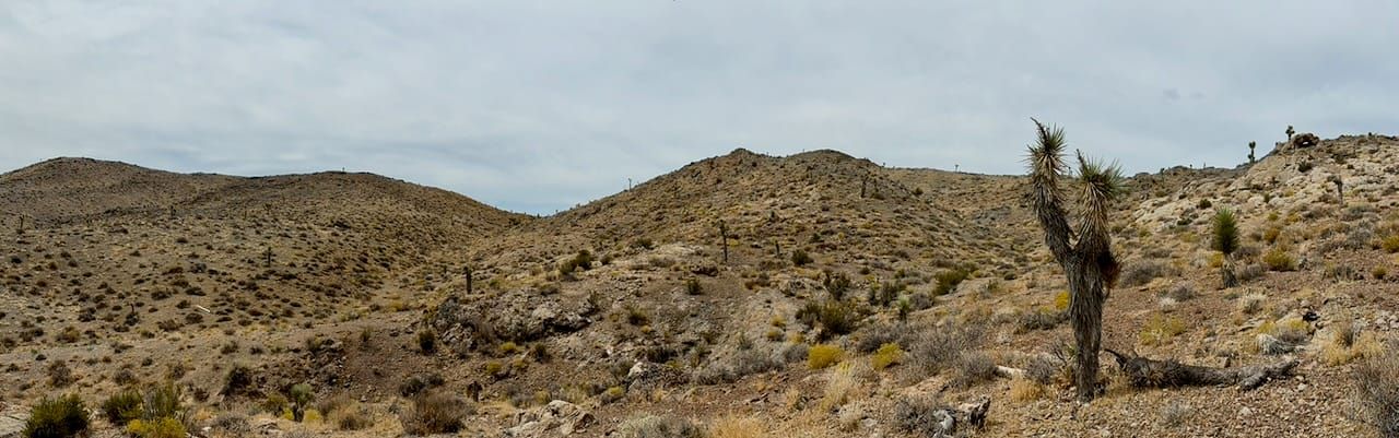 The Cuprite Hills are a low rolling range that runs southwest to northeast and is bisected by highway 95