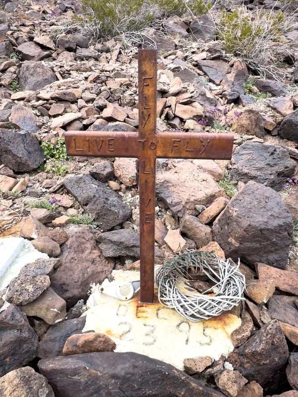 Wreck of N7304P, northern Greenwater Range