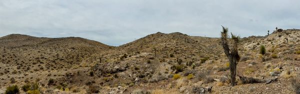 The Cuprite Hills are a low rolling range that runs southwest to northeast and is bisected by highway 95