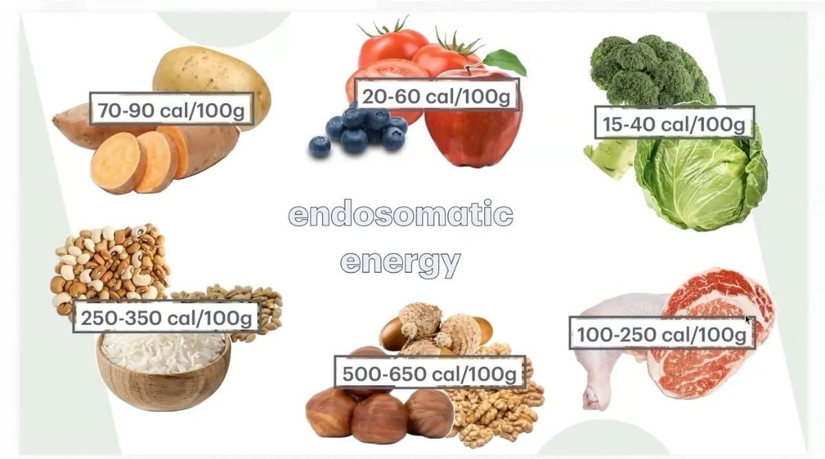 Seminar video: "Thinking Critically about Food" - with Eric Garza of Vermont
