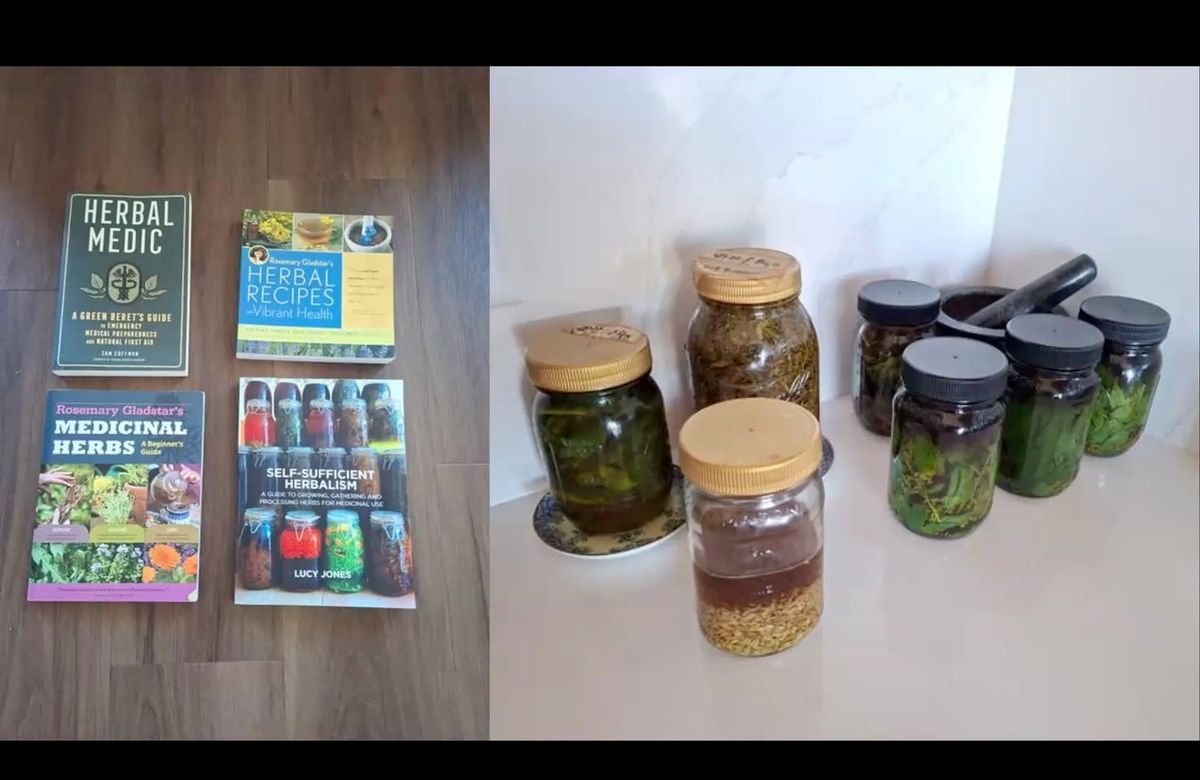 Herbalism - Healing Support from Nature, with Jane Dwinell