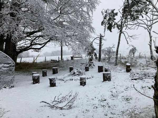 I Dreamed of Being Self-Sufficient