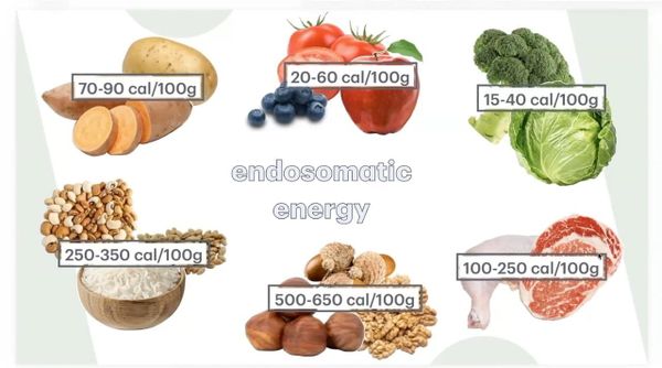 Seminar video: "Thinking Critically about Food" - with Eric Garza of Vermont