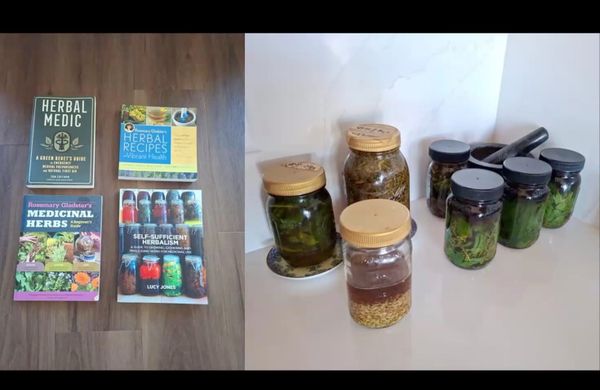Herbalism - Healing Support from Nature, with Jane Dwinell