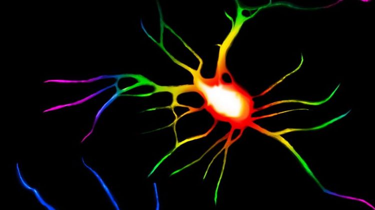 Almadel operation on LSD