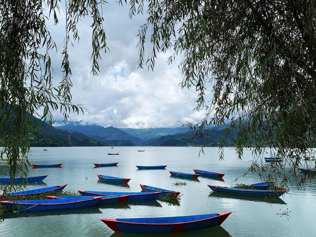 a boat gliding on the water
