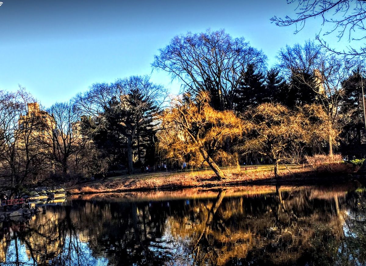 The Sun Glistens