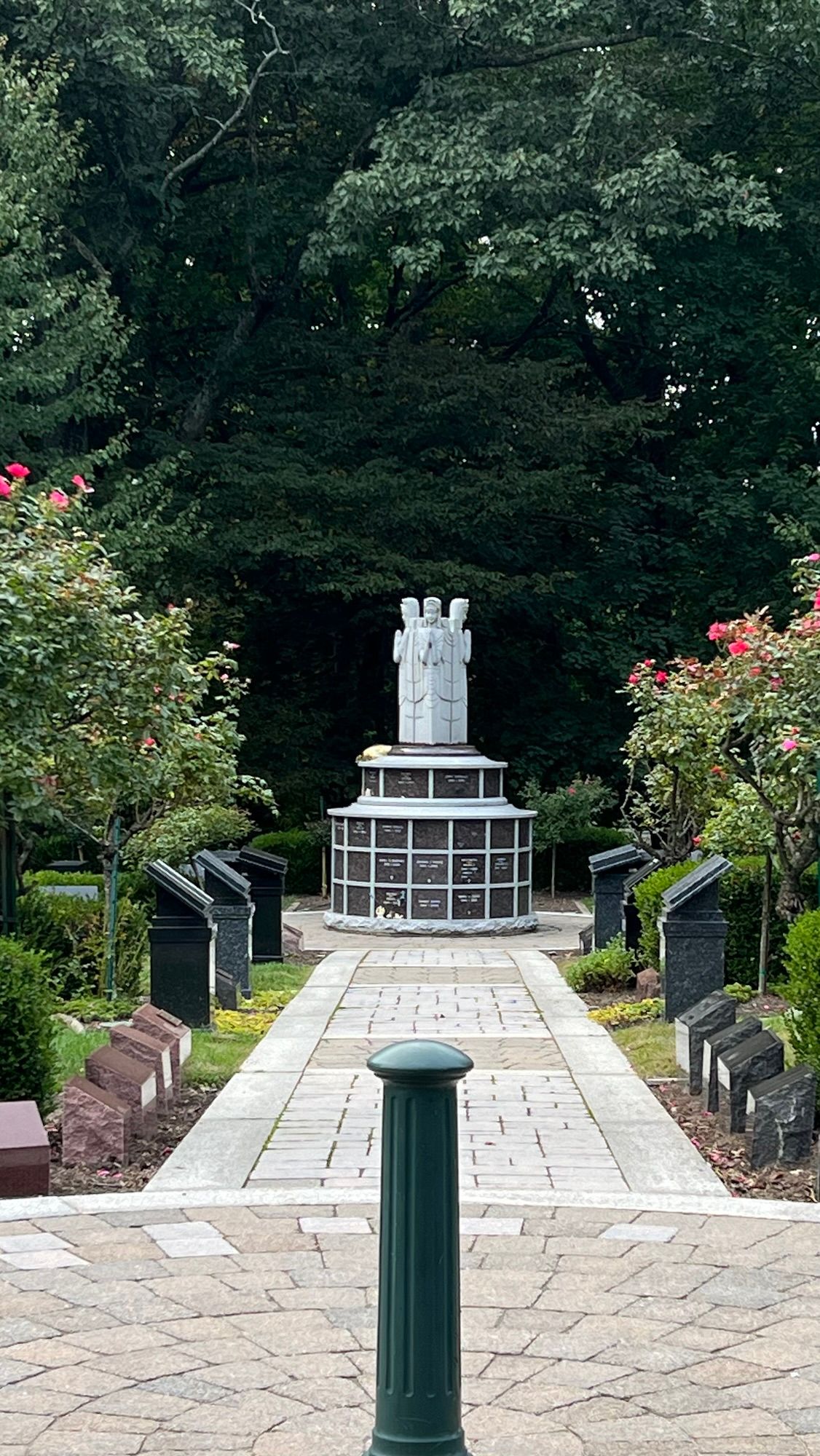 A Place for Doves