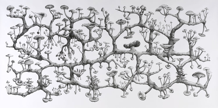A drawing of fungal mycelium networks.