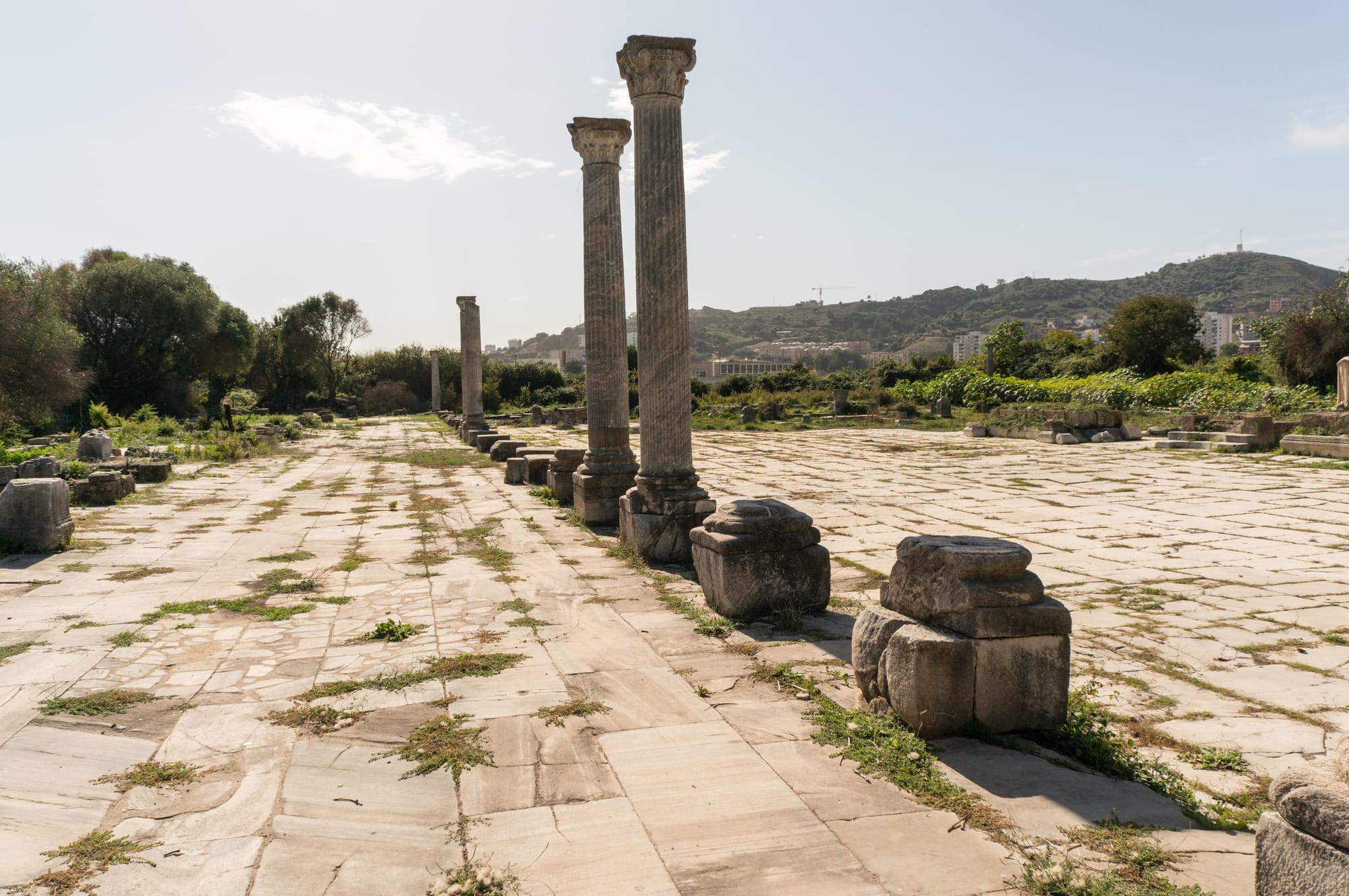 The ruins of the Roman forum at Hippo Regius near Annaba, Algeria, with Corinthian columns still standing along a stone-paved colonnade, olive trees and green hills in the background.