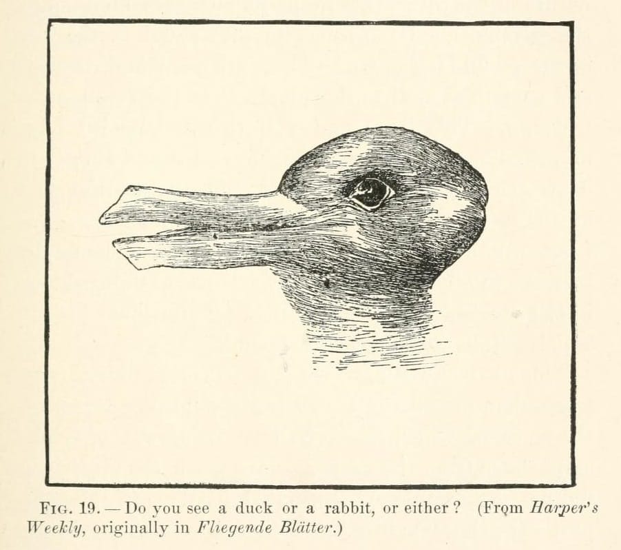 The Jastrow duck-rabbit optical illusion, a simple line drawing that can be perceived as either a duck facing left or a rabbit facing right depending on the viewer's interpretation, with no change to the underlying image.