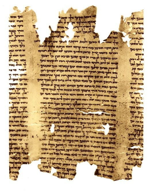 A torn, browned parchment fragment covered in columns of handwritten Hebrew script, edges ragged and pierced with holes, against a white background.