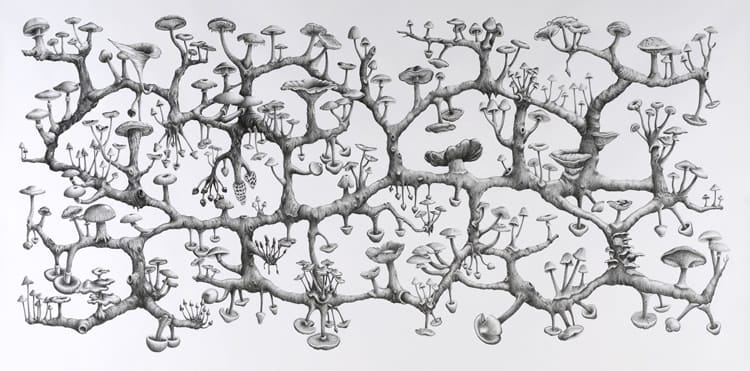 A large graphite drawing of a mycelial network, fine branching filaments spreading horizontally across the sheet and studded with mushrooms, with no central stem.