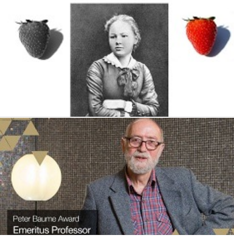 A collage image of Professor Frank Jackson with a black-and-white strawberry, a woman (assumedly Mary), and a red strawberry.