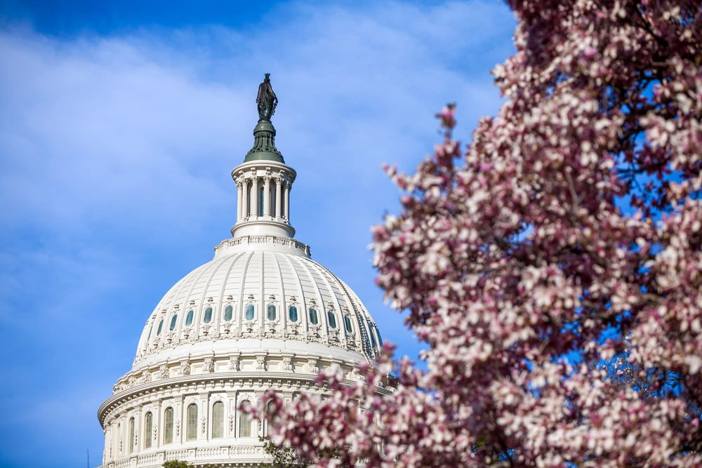Congress Mulls Extending FMLA To Your Practice