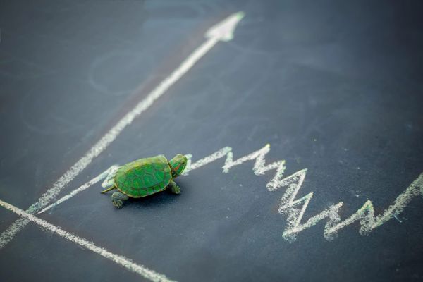 How Will The Changing Marketplace Affect Your Practice?