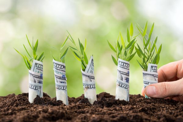 Overcoming The Hurdles For A Successful Cash Balance Retirement Plan
