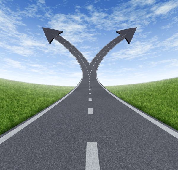 2024 Practice Survey Reveals A Growing Divide In Practice Success