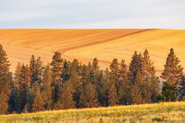 New Law Limits Syndicated Conservation Easement Deductions