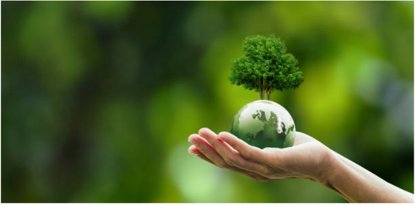 Clean Plate Challenge!