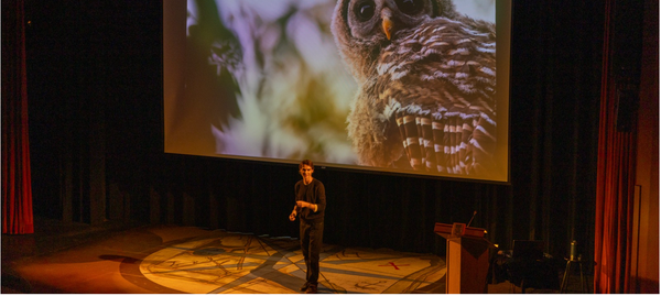 Insight from Luca Martinez