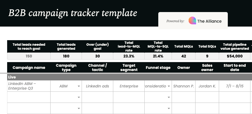 B2B campaign tracker template