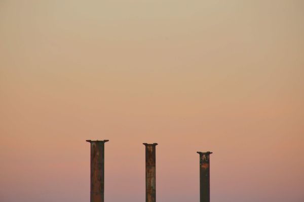 The three traits of successful CMOs  Q&A w/ Nischala Murthy Kaushik