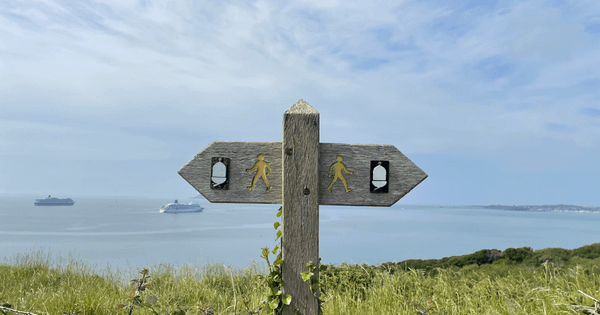 Exploring the world of executive marketing roles:  More than just CMO
