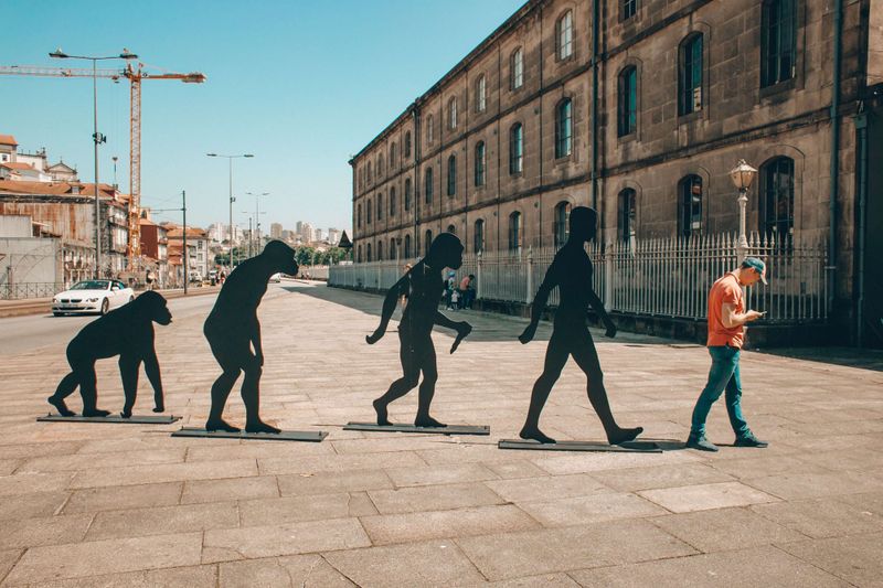 Survival of the most t-shaped?  Evolving your role as CMO